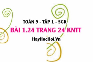 Bài 1.24 trang 24 Toán 9 tập 1 Kết nối tri thức SGK